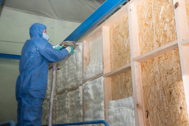 Insulation Contractors for Homes in Mount Hore, WI